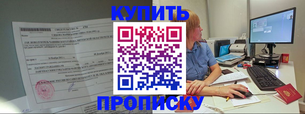 пропишу в квартире в Клинцах